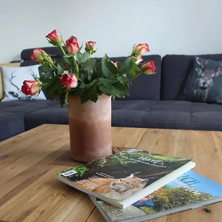 Hahnenklee Apartment